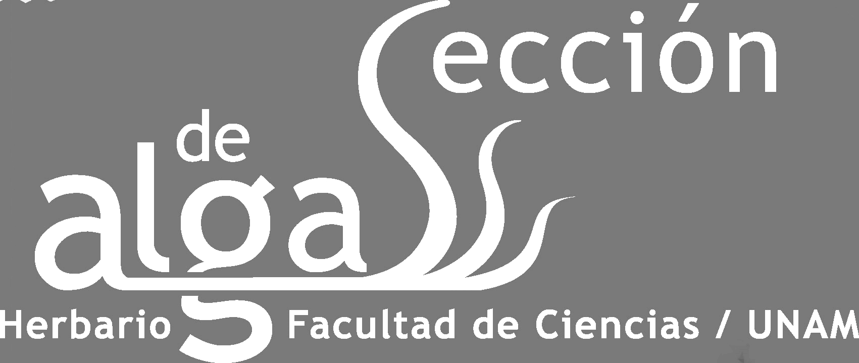 Sección de algas Facultad de Ciencias FCME